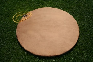 Divot Disc