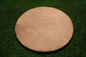 Divot Disc