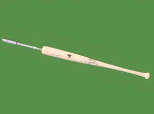 SwingRite Home Run Hitter